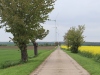 20230507130334_IMG_3486