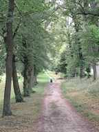 IMG-20250626-WA0021