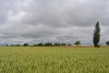 DSC_6911