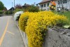 DSC_5733-1