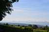 DSC_6296