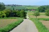 DSC_6460