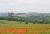 DSC_6756