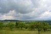 DSC_6845