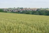 DSC_6971-1-1