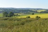 DSC_6995
