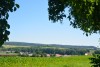 DSC_7016