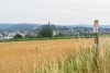 DSC_7556-1