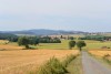 DSC_7645