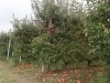 20211012121042_IMG_1863