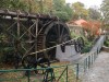 20211014103542_IMG_1931_1