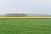 DSC_9952