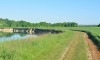 DSC_0454-1