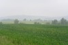 DSC_0697