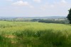 DSC_0777