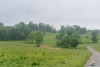 DSC_0931