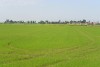DSC_1965