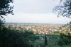 DSC_2720