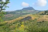 03 DSC_3372