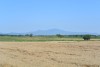 03 DSC_3402