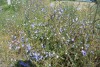 04 DSC_3405
