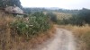 20180716_121845