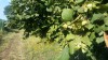 20180717_085530