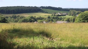 20240624111418_IMG_3251