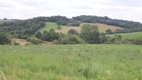 20240624134242_IMG_3255