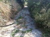IMG_20200918_124058