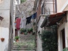 20200920131321_IMG_6030