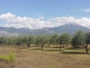 IMG_20200924_130105