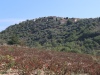20201002105503_IMG_6237