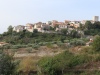 20201003081702_IMG_6284