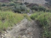 20201003091044_IMG_6288