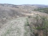 20201003103759_IMG_6296