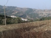 20201003150800_IMG_6307