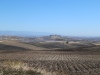20201004095240_IMG_6337
