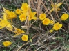 20201013140520_IMG_6695