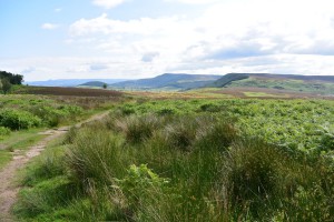 Dag 13: Ingleby Cross - Clay Bank Top