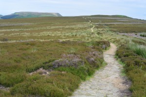 Dag 14: Clay Bank Top - Glaisdale